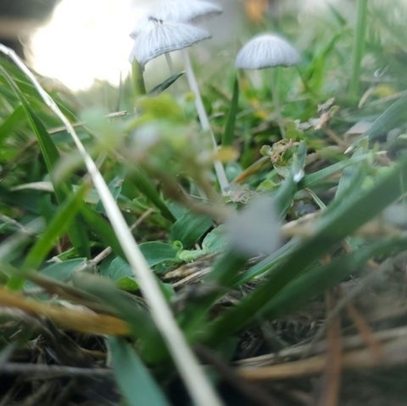 Meet your Posher, Dustin - Picture 1 of 1